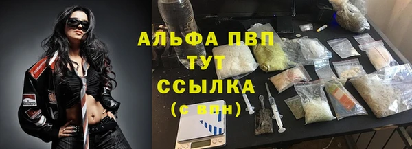 стафф Нефтекумск