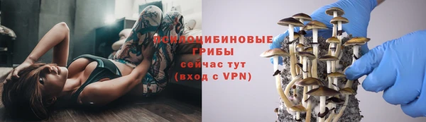 стафф Нефтекумск