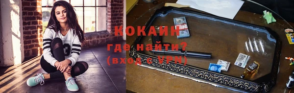 спиды Новозыбков