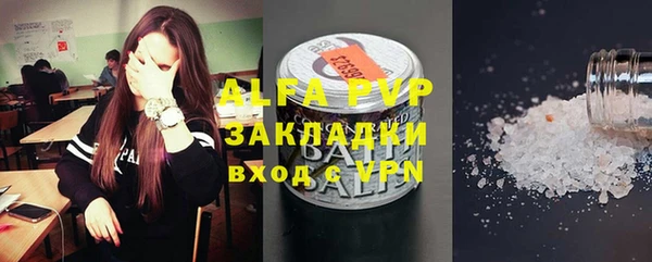 спиды Новозыбков